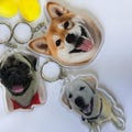 Personalized Pet Keychain with Photo – Custom Dog or Cat Memory Gift, Perfect for Pet Owners & Tributes