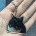 Pet Portrait Keychain, Custom Cat Keychain, Personalized Dog Photo Keychain, Pet Memorial Gift, Gift for Pet Lovers,Acrylic Keychian