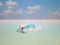 Tiny Ocean Wyvern Keychain | Cute Articulated 3D Printed Multicolor Wyvern Dragon Fidget Toy | Kawaii Fantasy Bag Charm & Lanyard Accessory