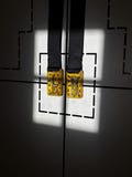 Golden leopard print shimmer X-Ray anatomical side markers