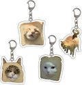 Custom Pet Funny Meme Keychain, Cat Lover Gift, Pet Keychain, Personalized Dog Photo Keyring, Holiday Gift for Pet Lovers, Pet loss gift