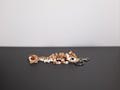 Baby S'mores Dragon Keychain | Cute 3D Printed Articulated Multicolor Dragon Accessory Fidget Toy | Kawaii Fantasy Bag Charm or Lanyard Clip