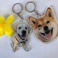 Custom Pet Photo Keychain – Personalized Dog or Cat Keepsake, Thoughtful Gift for Pet Lovers & Memorials