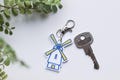 Welcome to Holland Keychain | Down Syndrome Awareness Month Gift | Windmill Keychain Inspired by Emily Perl Kingsley Poem | Inclusion Gift