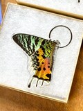 Madagascan sunset moth upper and lower wing keychain