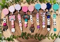 Nurse Badge Reel with Alligator Clip | Custom Designation ID Holder | Retractable Badge Reel for Nurses, Doctors & Healthcare Workers, Gift