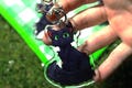 Hollyleaf Warrior Cats 2.5in Double Sided Acrylic Keychain