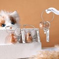 Personalized Pet Fur Memorial Keychain with Text,Pet Fur Keychain-Cat Hair Storage Keyring-Pet Sympathy Gift,Pet Keychain Keepsake