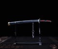 Mini Katana Sword Replica – Demon Slayer Tanjiro Kamado Second Nichirin Blade with Stand | Anime Collectible, Cosplay Prop, Gift for Fans