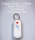 Heartworm Test Veterinary Fidget Clicker Keychain; Veterinary Stress Gift; Vettechappreciationweek, Veterinary Medicine, Vet Tech
