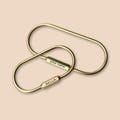 Personalized Brass Carabiner Keychain Brass Keyring Carabiner Screw Lock Key chain Custom Engraved Carabiner Paper Clip Bag Charms Key Gifts